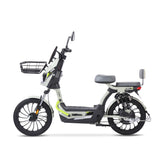 Alessia E-bike A06 Explorer Verde, Conquista Terreno Difícil con Rueda Grande, Mayor Comodidad con Suspensión Mejorada, 500W, Autonomía 75km