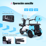 P03 bicicleta eléctrica de 3 ruedas