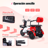P03 motoneta 3 llantas