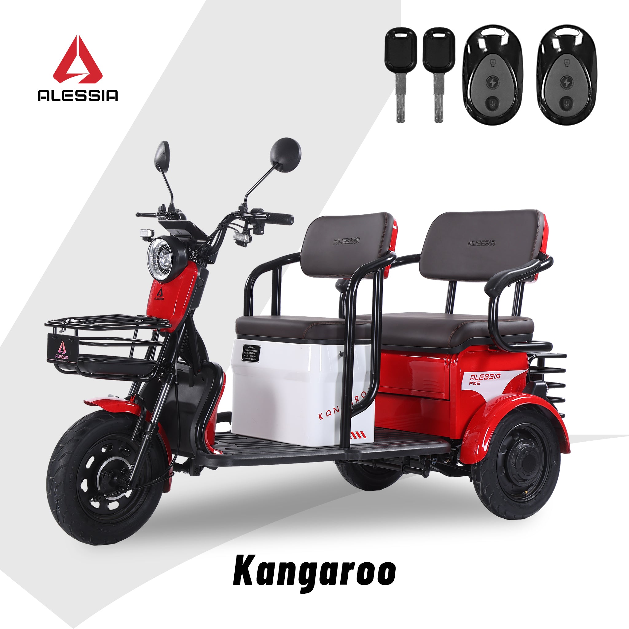 P05 Tricimoto Eléctrica