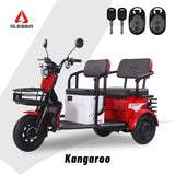 P05 Tricimoto Eléctrica