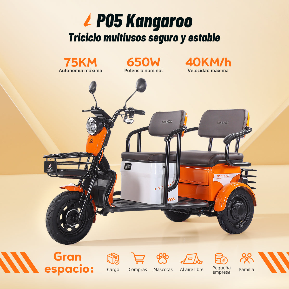 P05 triciclo moto