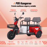 P05 Kangaroo Triciclos Eléctricos Para Adultos| Gran Espacio de Carga, 650W de Potencia Nominal y 75KM de Autonomía